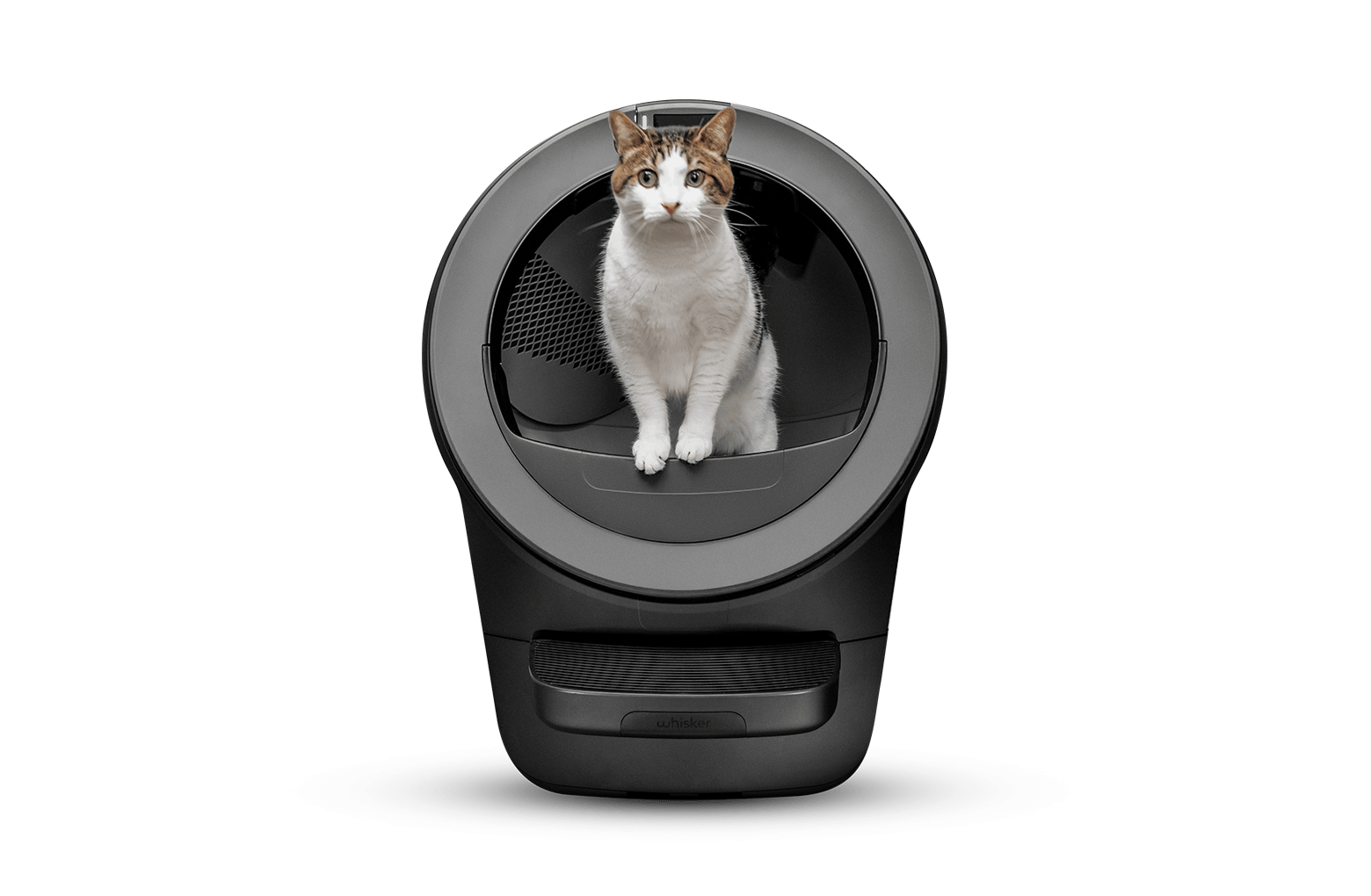 lr_gallery_lr5_black_cat